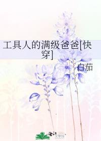 工具人的满级爸爸[快穿]